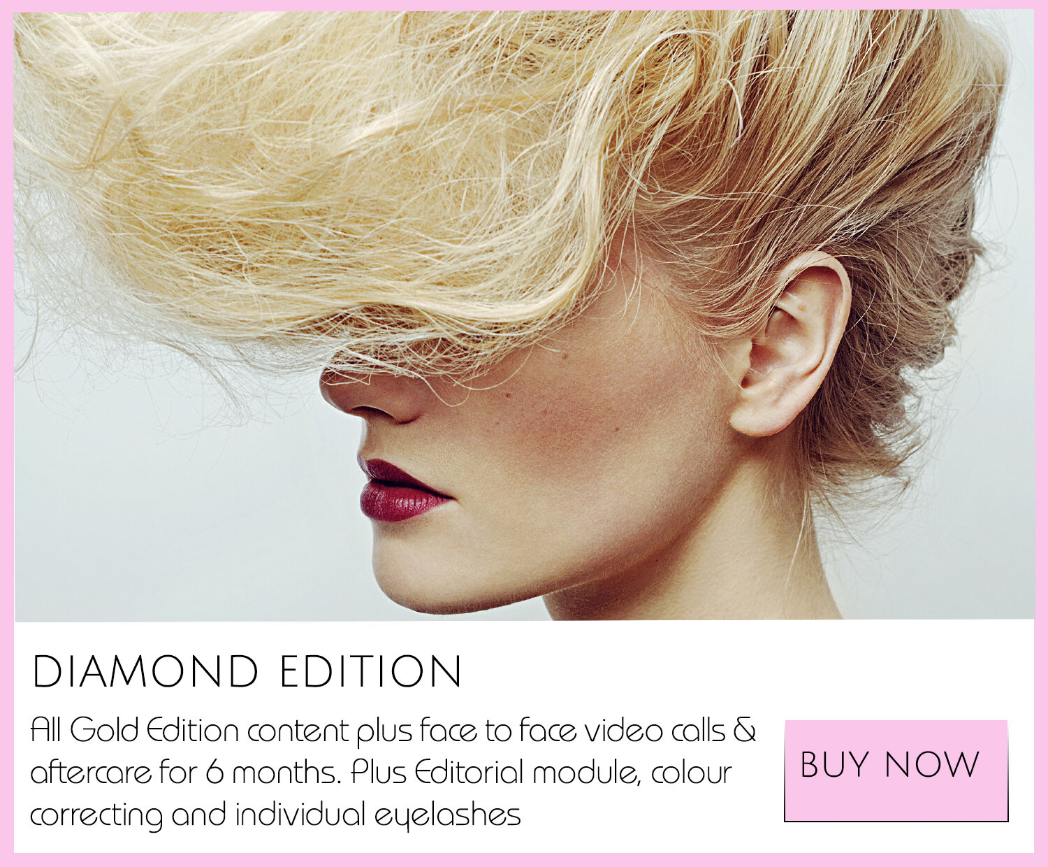 DIAMONDCOURSE_NOPRICEBUYNOW_ONLINE COURSES.jpg