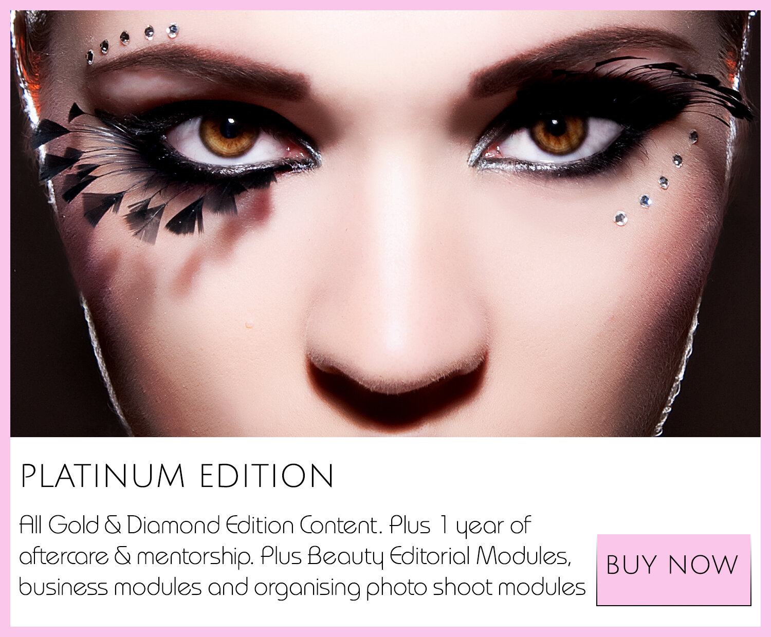 PLATINUM_COURSE_NOPRICEBUYNOW_BEST MAKEUP COURSES.jpg